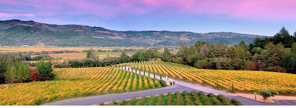 Napa Valley Wineries - TBWS
